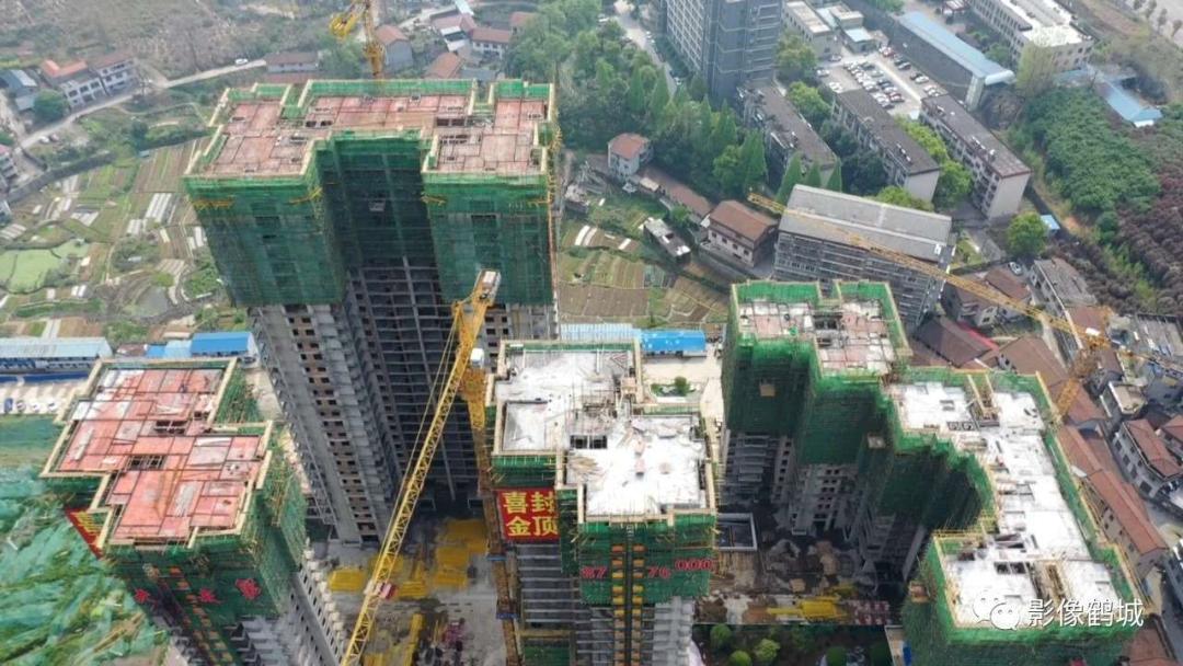 火凤凰浴火中如何重生,看浴火重生的凤凰