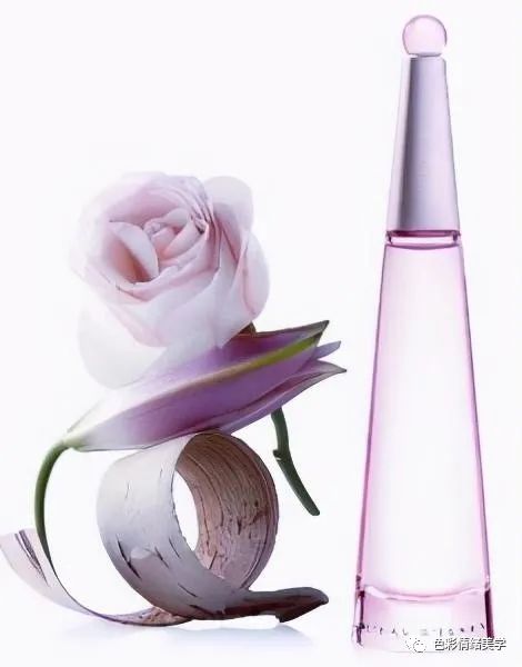 三宅一生公众号,三宅一生24小时