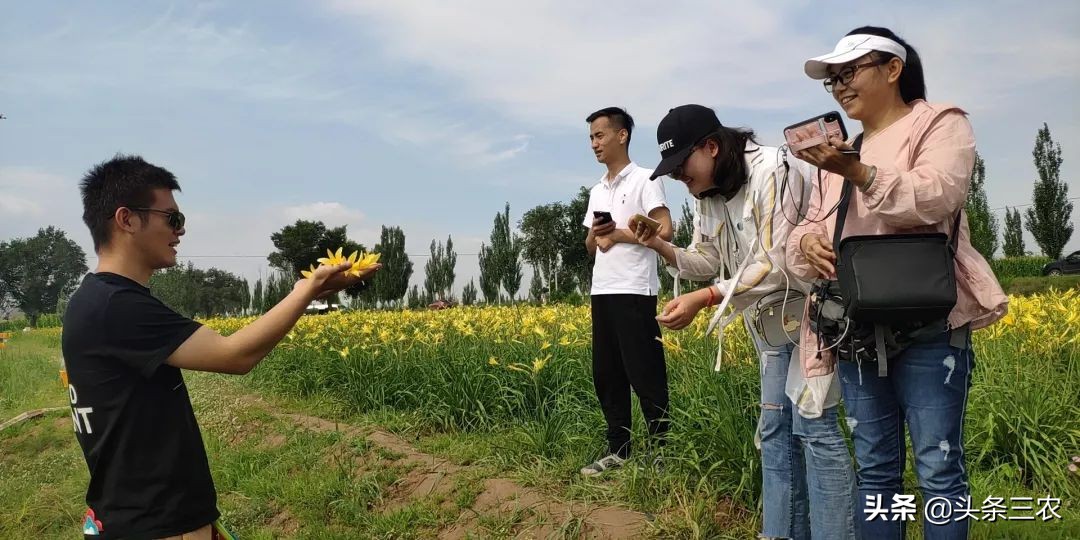 风物中华大好河山,滩羊之乡风物盐池