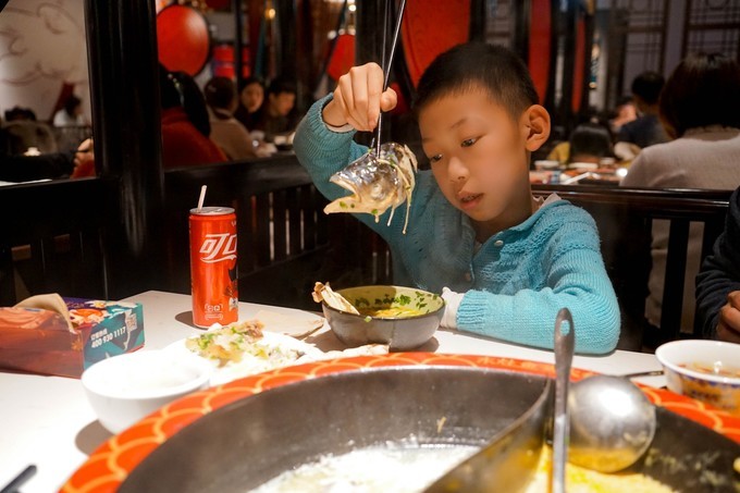 广东顺德美食旅游攻略学生,顺德自驾这份美食攻略要收好