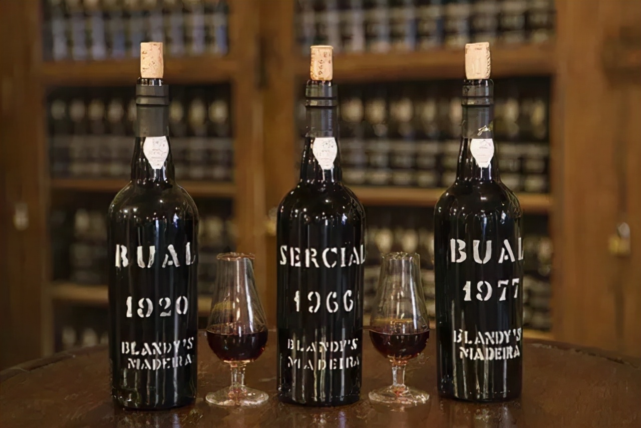 葡萄酒醒酒优美教程,葡萄酒入门100句