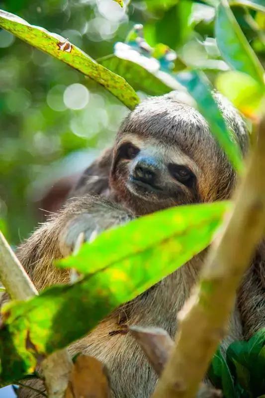 原来秘鲁的历史有那么长长长长长长长长长