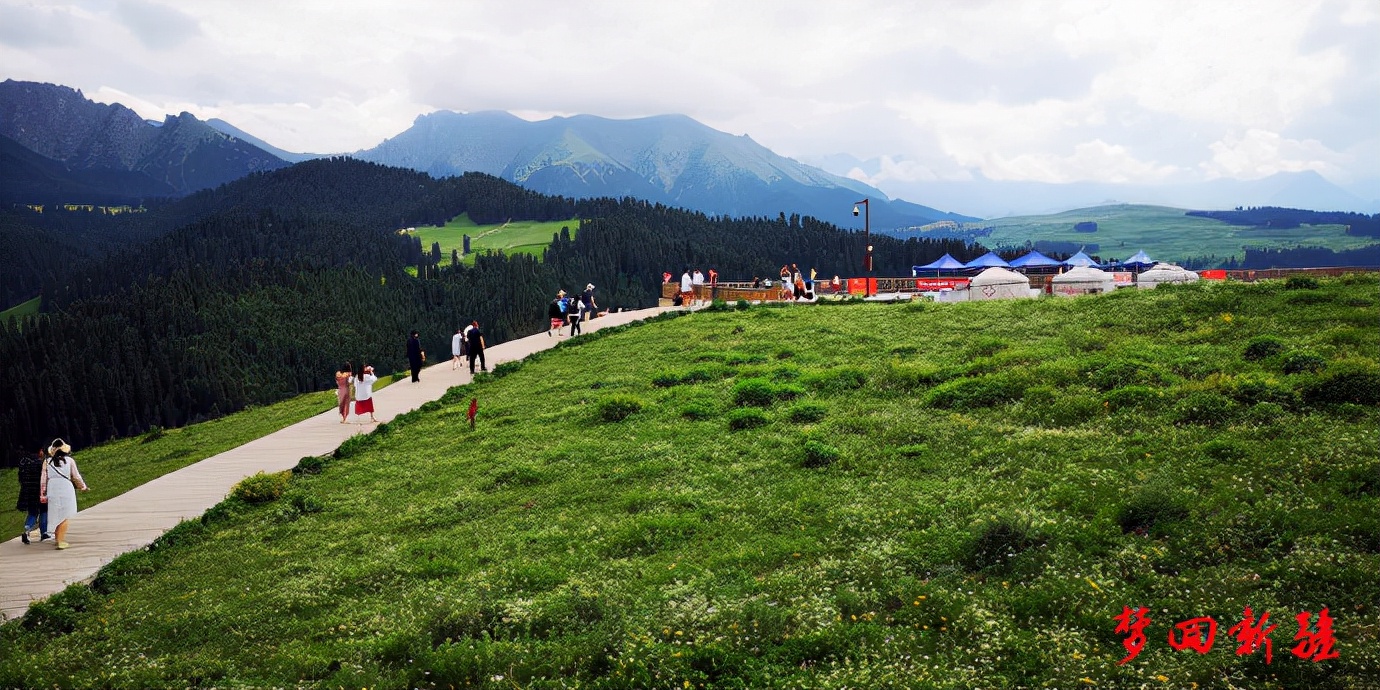 梦回新疆梦回拉萨,梦回伊宁草原视频