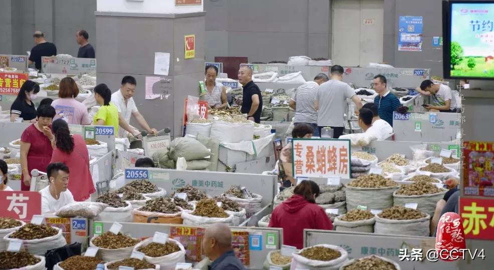 华佗故乡亳州药都之乡简介,亳州为什么被称为华佗故里