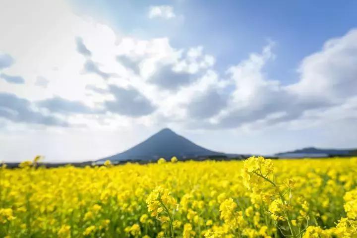 日本九州7天旅游攻略推荐,日本九州的旅游景点