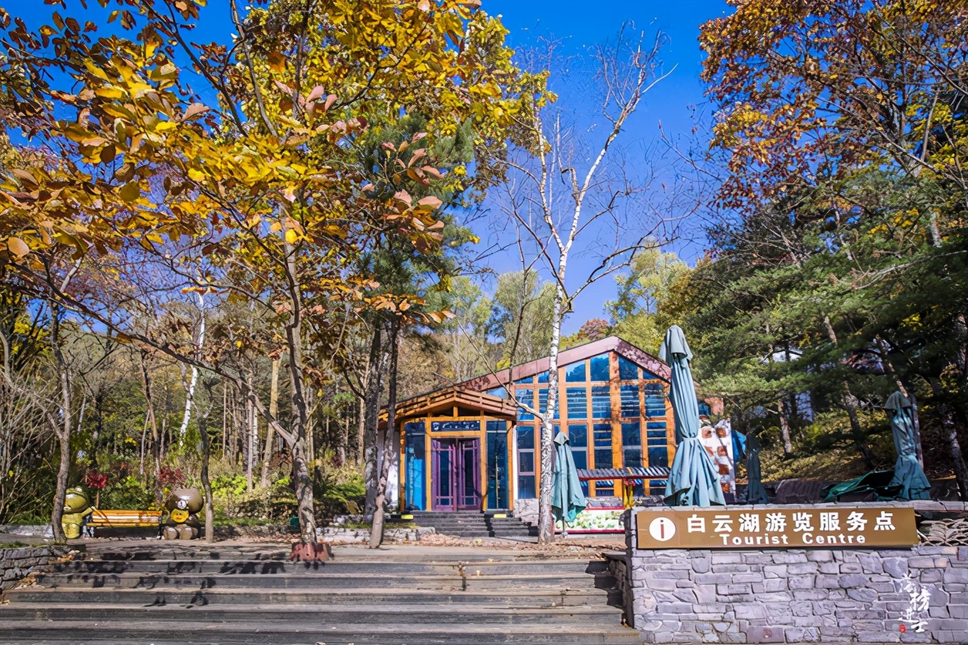 河南洛阳嵩县白云山都有哪些景观,河南洛阳嵩县的白云山风景名胜区