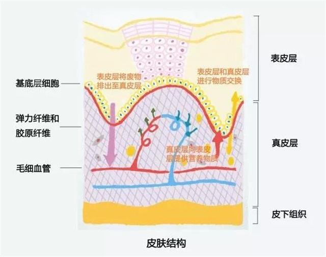 孕期护肤能用面霜,孕期护肤美容能做吗