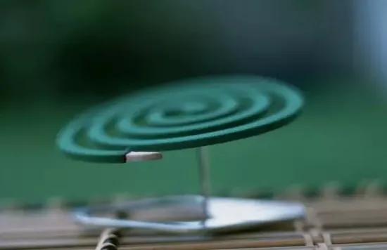 春天养花小黑飞,灭花盆黑小飞虫最简单的方法