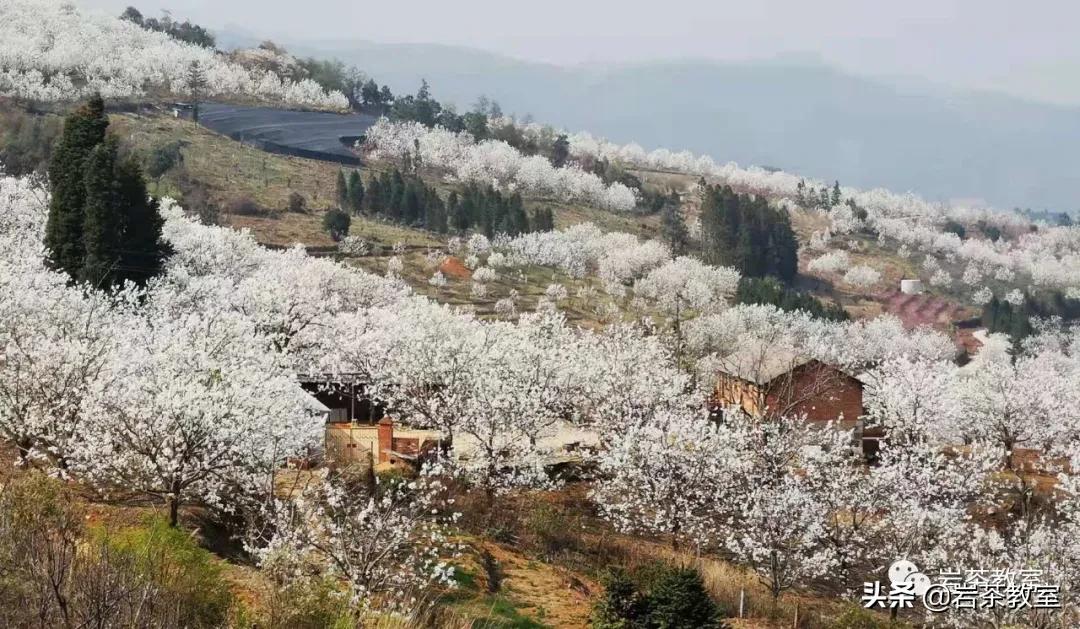 茶器之美|斑锡龙赖庆国：工匠有了精神，器物才有趣味