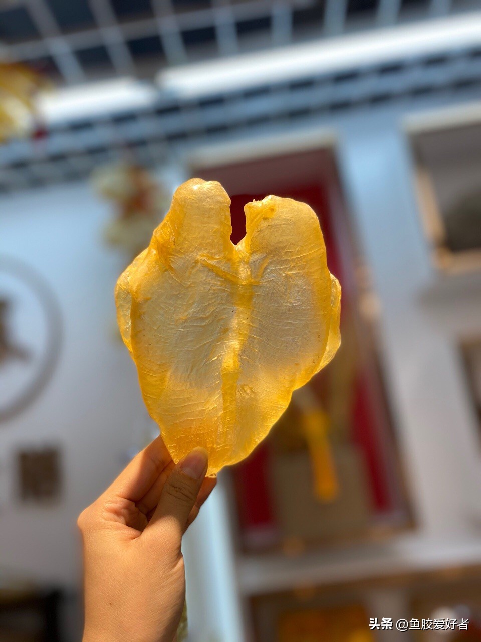 不建议入手的鱼胶,买鱼胶时问商家哪些问题