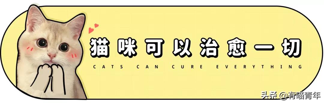 北大石狮子绝育事件,北大石狮子修复了吗