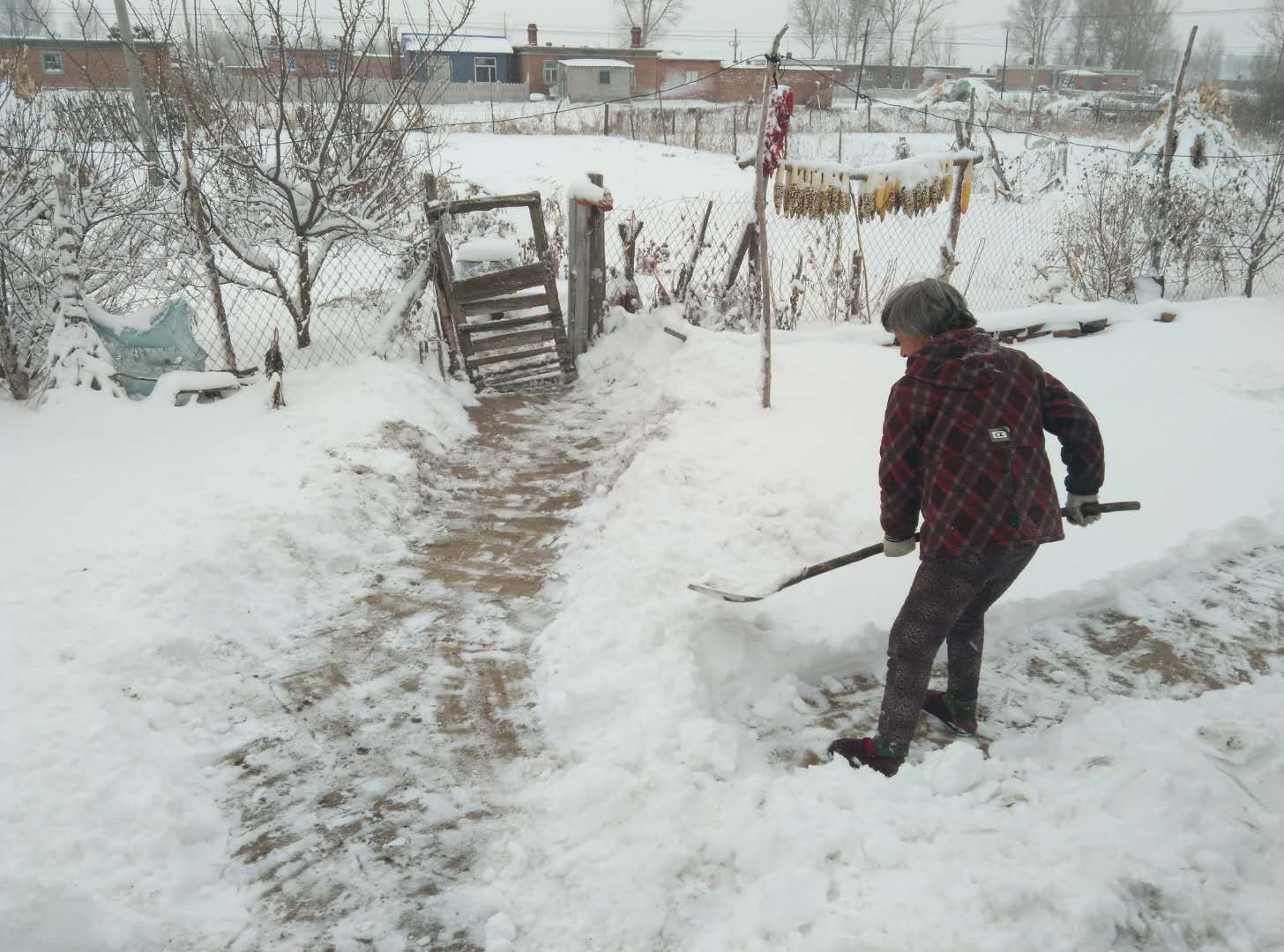 农商银行驻村工作日志,驻村辅警工作日志模板