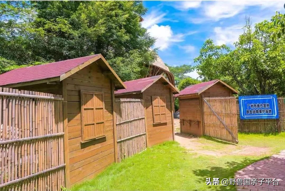 广州遛娃出游,广州遛娃3-4天攻略