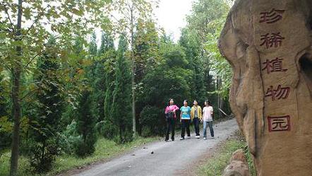 茂名地区必去5个景点,茂名最值得去的景点