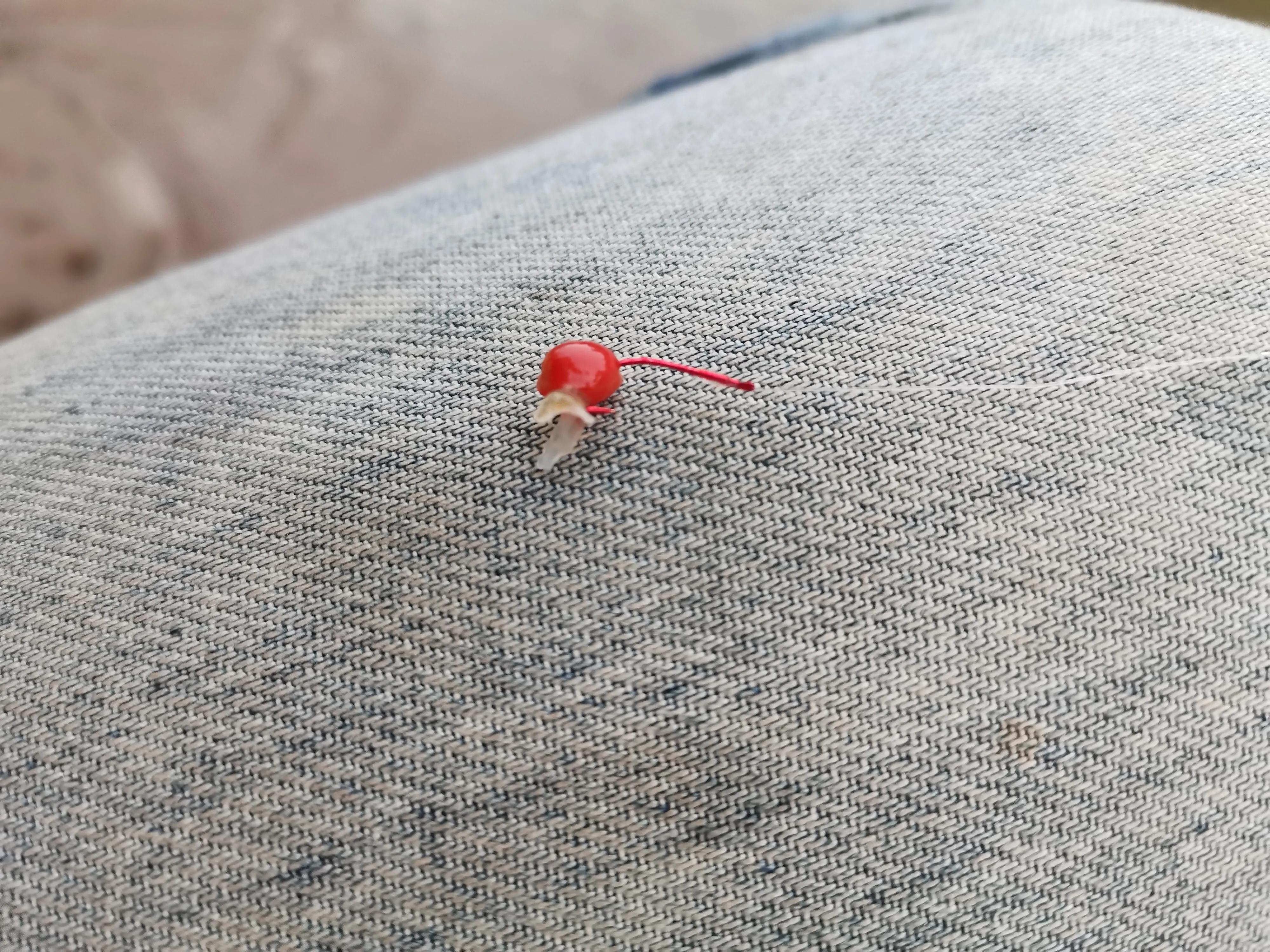 野河休闲钓，手杆绷尖钓法，岸边捡别人的麦子挂钩，最后鲫鱼连杆