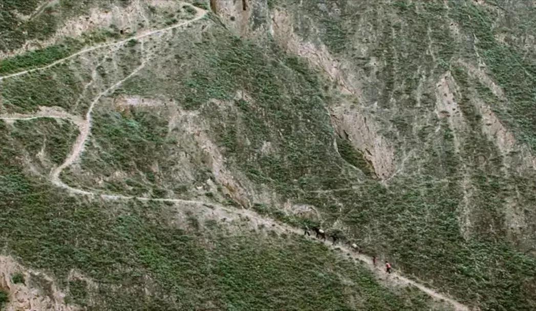 在读书学习的道路上没有捷径可走,在读书的道路上