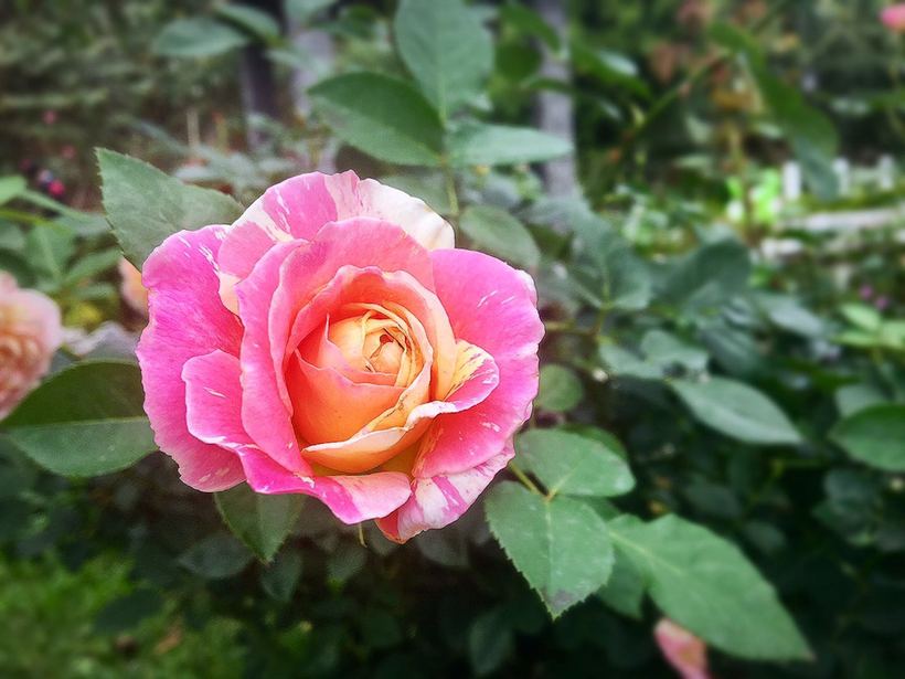 横琴相思瀑布要门票吗,相思瀑布珠海附近景点