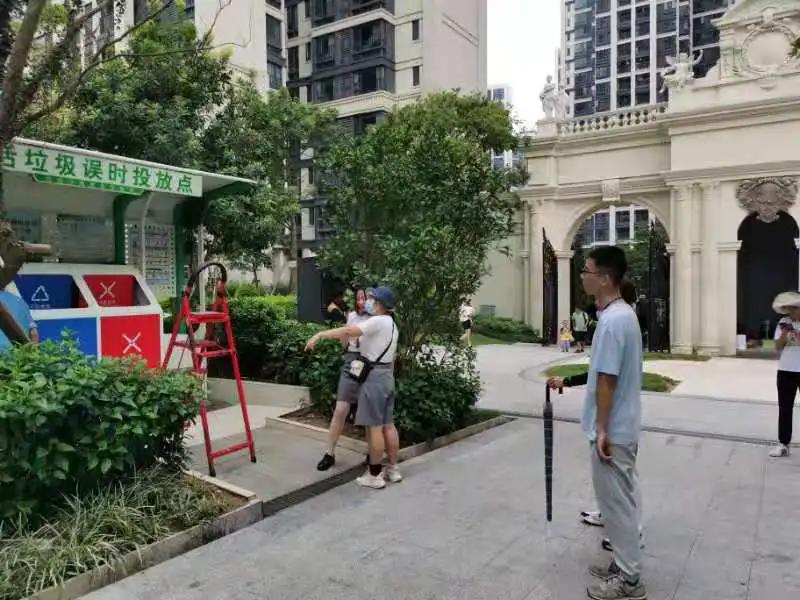 民生无小事公益咨询,民生无小事服务热线