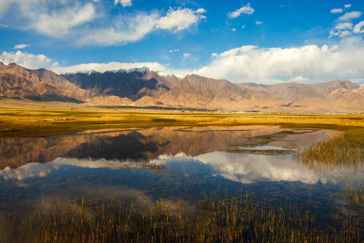 我的旅行日记之青海,我的旅行日记高原茶场