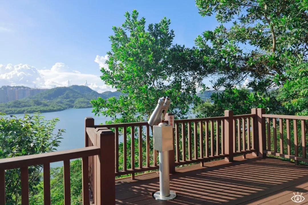 深圳这10条绿道你去过没,深圳十大绿道排行榜