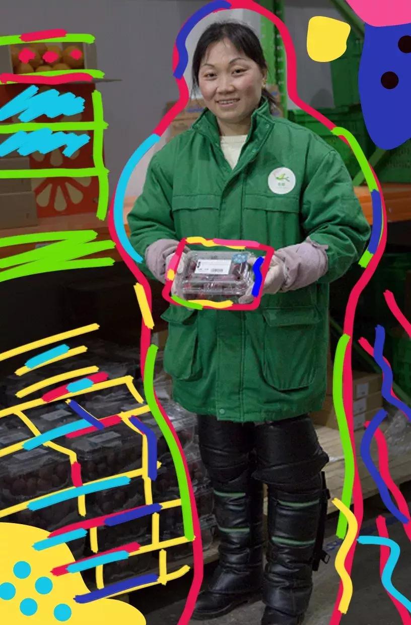 真正的有机农场纯天然蔬菜,种菜有机食品有哪些