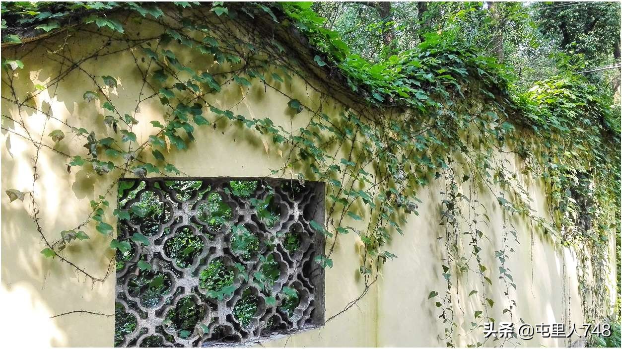 便宜小众旅游景点路线,冷门山林景点