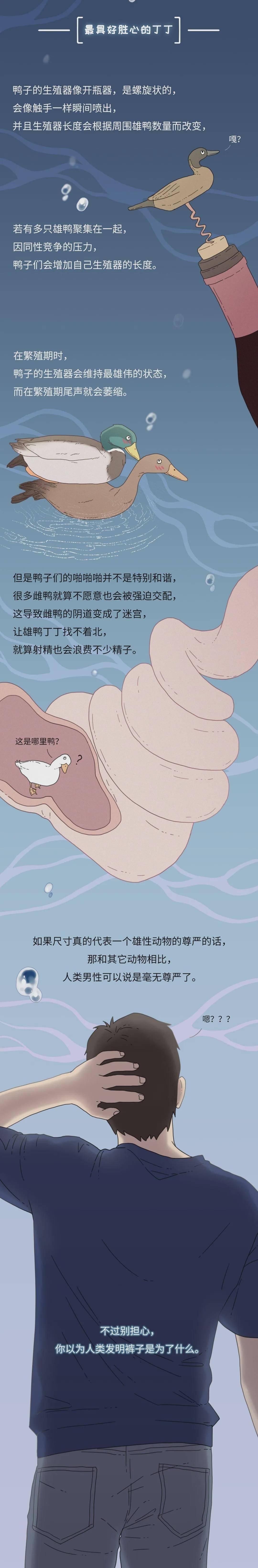 为什么同样是丁丁,差距却这么大?34cm竟然排垫底