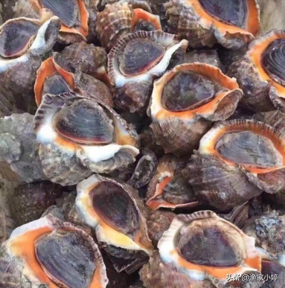 连云港地方特产有哪些,连云港地方特产市场