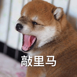 你都用过哪些沙雕网名,让人一眼就能记住的沙雕网名