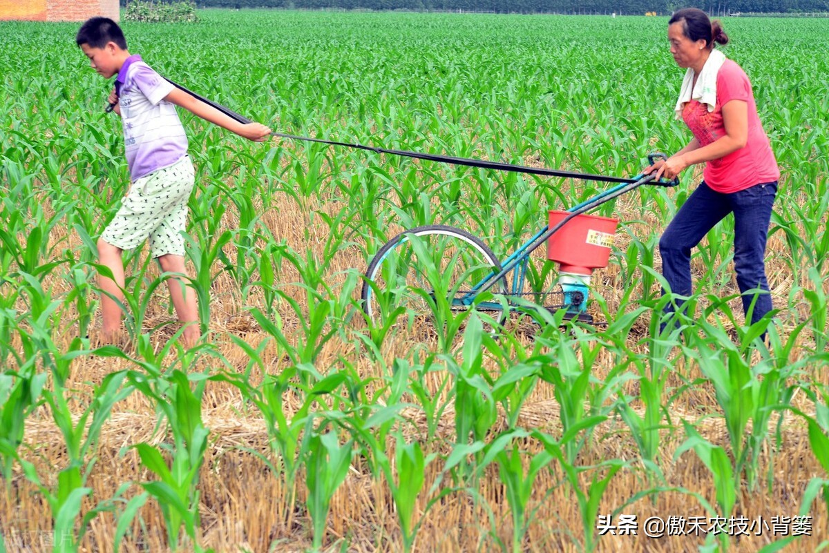 如何区分尿素氯化铵和硫酸铵,如何区分硝酸铵硫酸铵和尿素