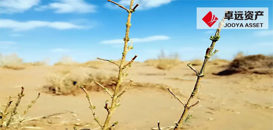 来自腾格里沙漠西端最朴实的见证——南京卓远2020公益活动