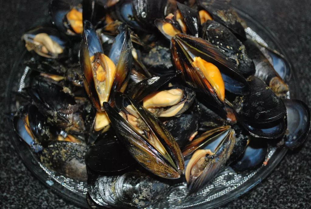 海肠海虹,海虹鲍鱼和海肠