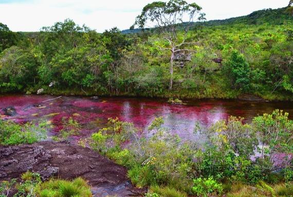世界最美的十五条河流,世界上最美河流风景