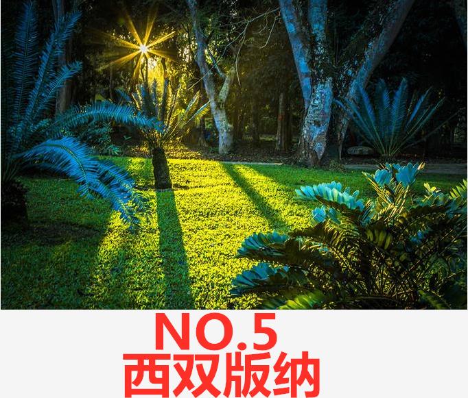 2022春节免费景点云南,云南春节景点