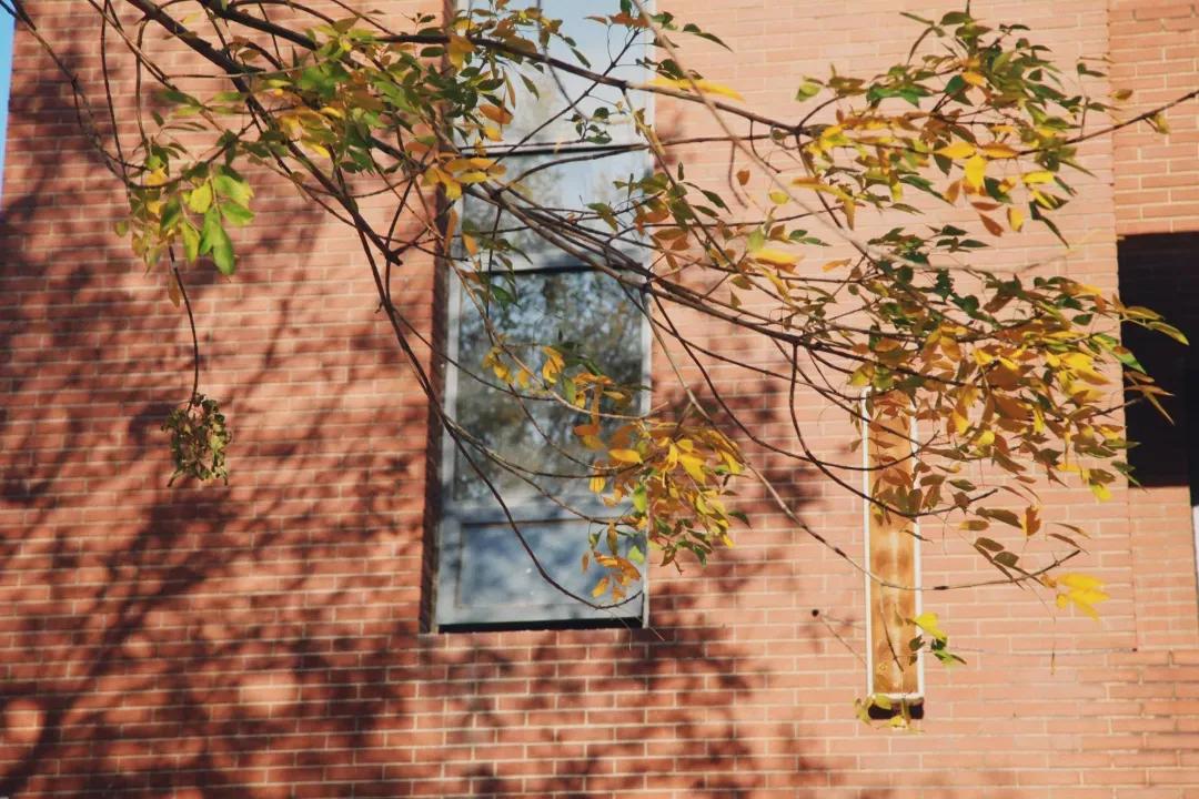 天津市耀华中学冯耀忠,天津市耀华中学招聘