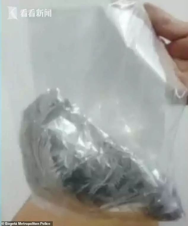 要钱不要命！为了运毒，女子将*品毒**缝进了自己大腿里……