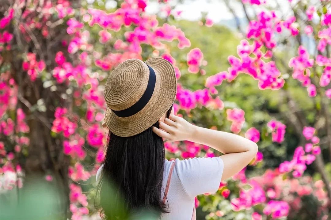 深圳10大旅游好去处,深圳盐田区周末休闲浪漫好去处