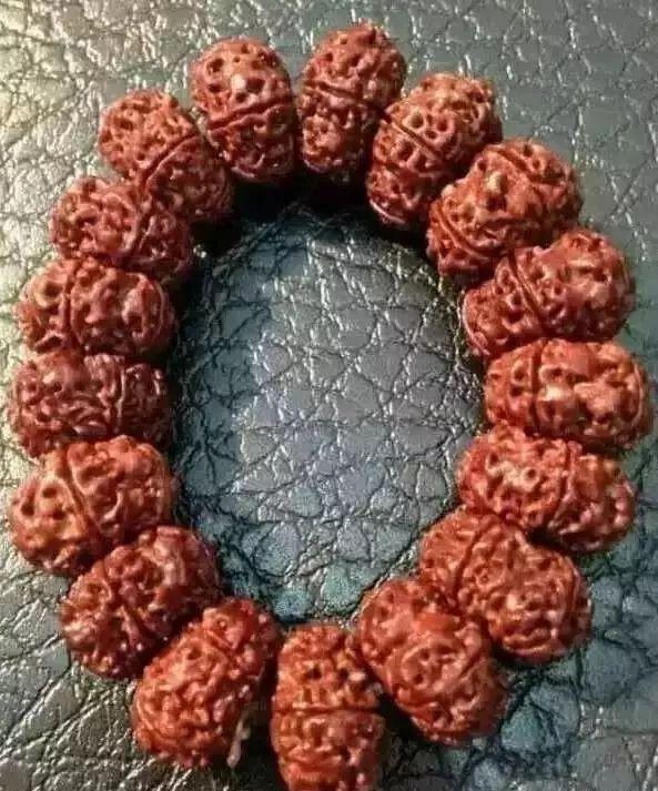 夹缝中求生存且行且珍惜,夹缝中求生存在逆境中求发展