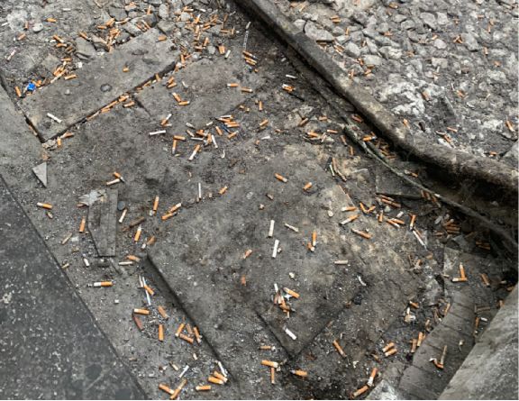 米兰朝圣圣西罗,朝拜圣西罗