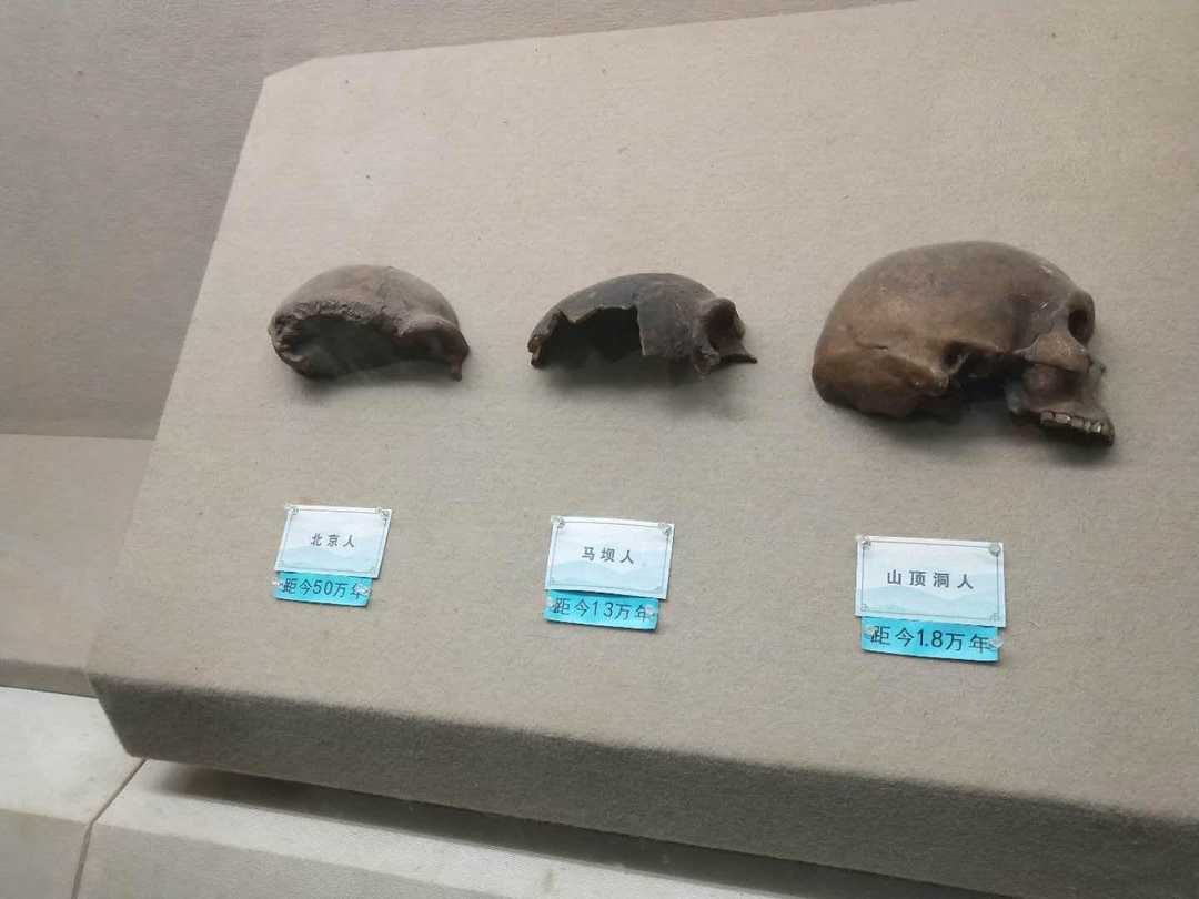 情知不久须相见，一日甚三秋，愁来不自由。‖马坝人遗址公园