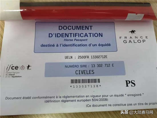 马也有护照？中国、日本的最好辨认，法国居然这么写！