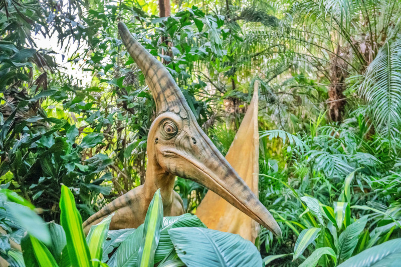 离广州长隆最近的海滩景点,长隆海洋世界王国必打卡景点