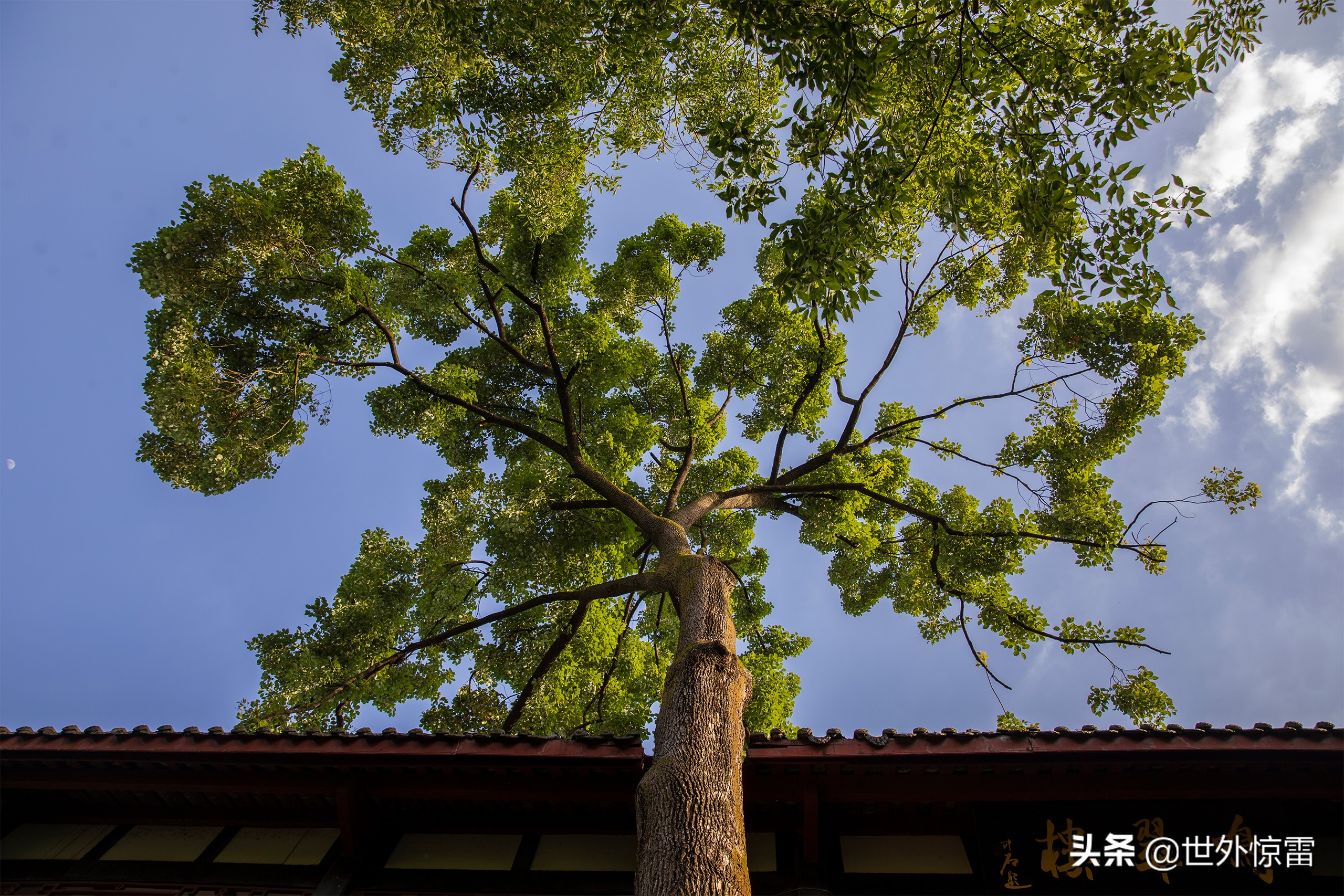 四川旅行攻略旅行社,四川旅行成都
