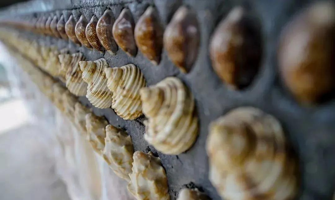 世界第一贝壳造房,中国第一贝壳楼