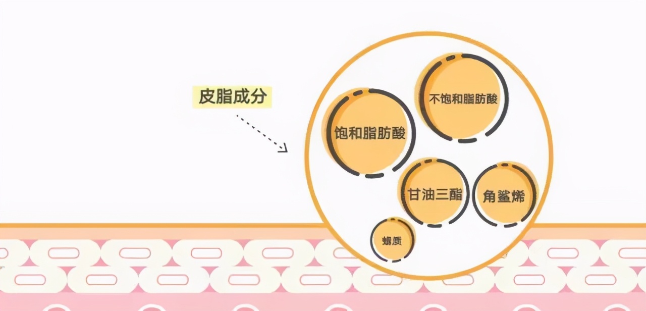 药学博士护肤品推荐,药学博士保湿化妆品