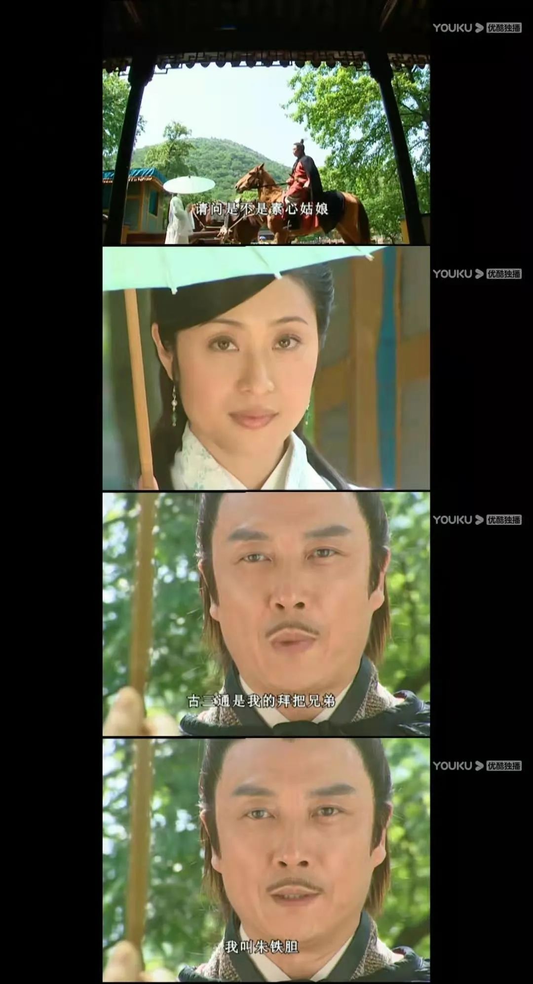 天下第一素心清醒,天下第一素心赌气铁胆神侯