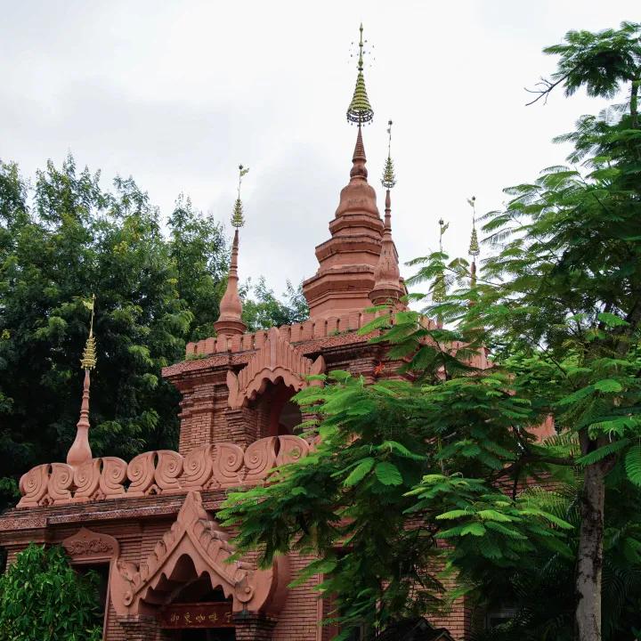 打卡中老铁路,曼听公园网红打卡景点