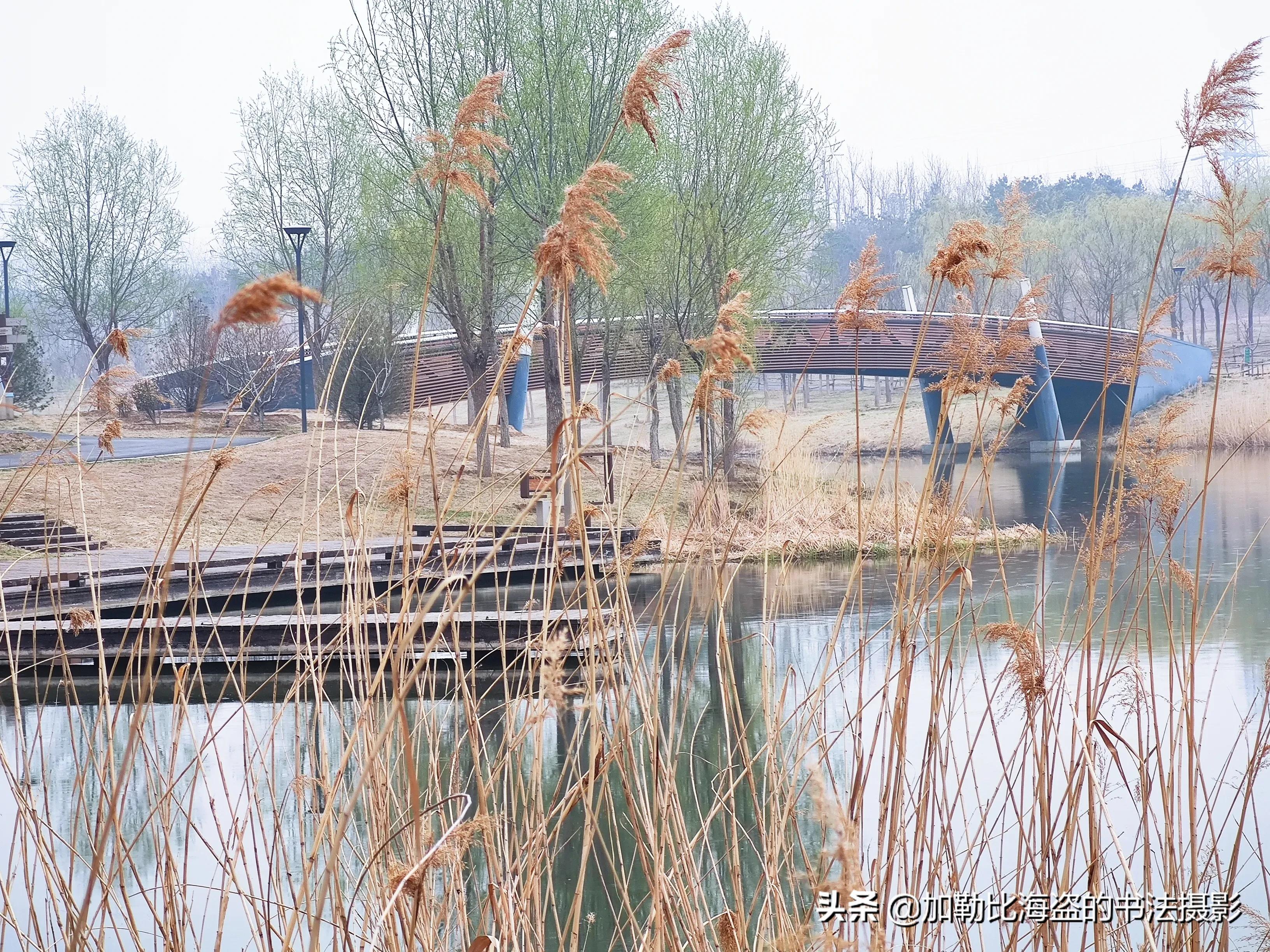 如何在公园里拍出氛围感照片,公园摄影怎么拍出高级感
