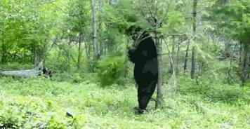 你根本想象不到减肥,你根本想象不到民间健身有多狂野