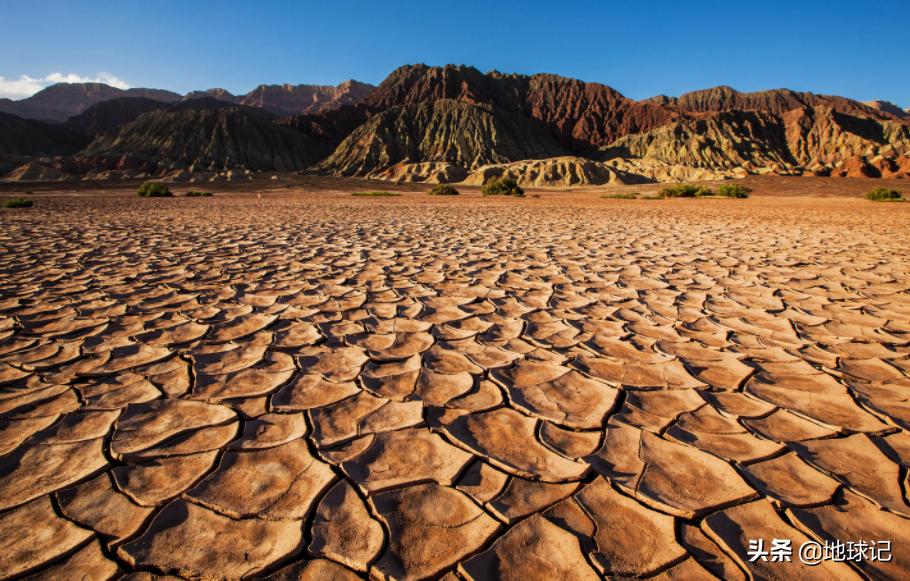 *疆新**:随着环境慢慢变好,*疆新**正在迎来复苏,该不该人工干预